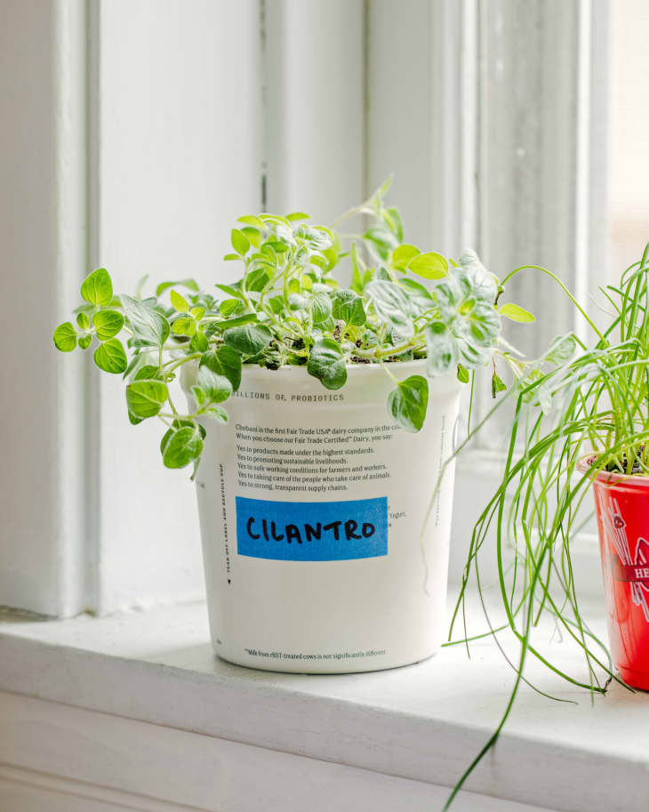 7 Smart and Useful Ways to Reuse Plastic Containers The Kitchn